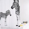 RIDDER Zavesa za tuš Zebra 180x200 cm