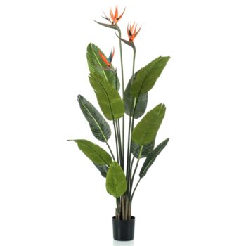 Umetna rastlina strelicija v loncu s cvetovi 120 cm
